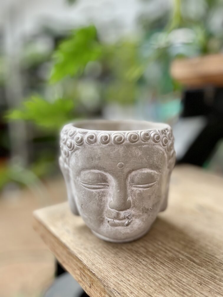 Zdjęcie doniczki lub oslonki: Osłonka Hindi 8x10 cm, ujęcie 1
