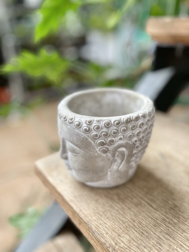 Zdjęcie doniczki lub oslonki: Osłonka Hindi 8x10 cm, ujęcie 3