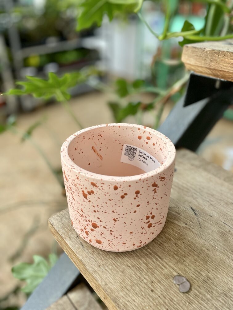 Zdjęcie doniczki lub oslonki: Osłonka Pink Splash 10x10 cm, ujęcie 3