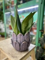 Zdjęcie doniczki lub oslonki: Osłonka Tulip Violet 12x15 cm, ujęcie 2