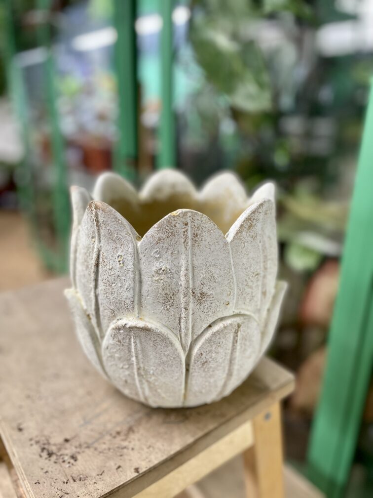 Zdjęcie doniczki lub oslonki: Osłonka Tulip White 14x19 cm, ujęcie 1
