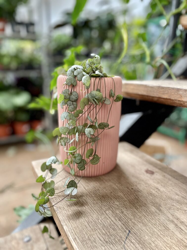 Zdjęcie doniczki lub oslonki: Osłonka Vase 10x20 cm, ujęcie 2
