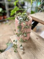 Zdjęcie doniczki lub oslonki: Osłonka Vase 10x20 cm, ujęcie 4