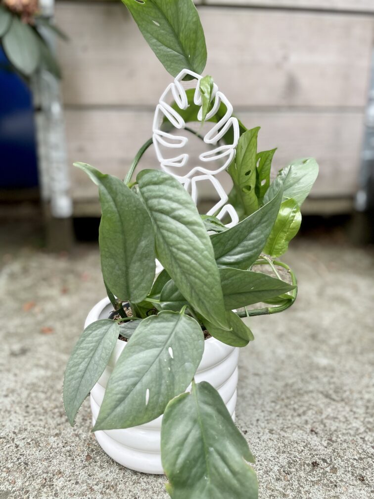 Zdjęcie akcesoria Drabinka Bamboo Monstera White 3x28 cm, ujęcie 2