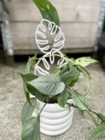 Zdjęcie akcesoria Drabinka Bamboo Monstera White 3x28 cm, ujęcie 3