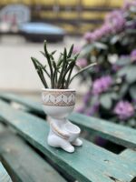 Zdjęcie rosliny doniczkowej Rhipsalis baccifera Horrida (Patyczak), ujęcie 4