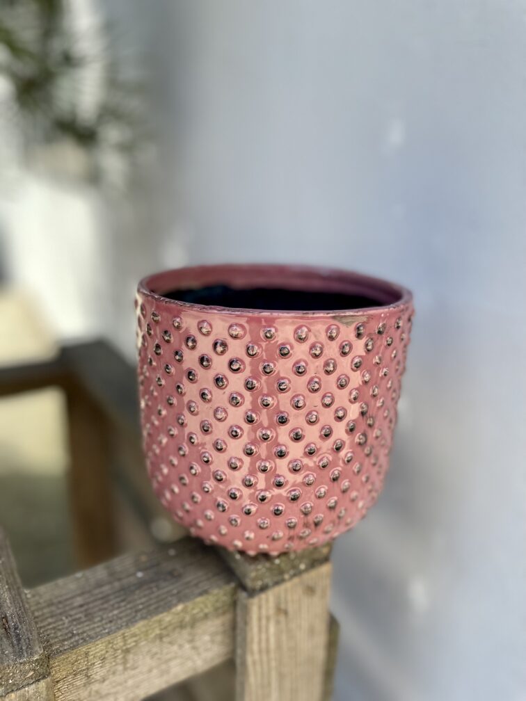 Zdjęcie doniczki lub oslonki: Osłonka Pink dragon 12 × 12 cm, ujęcie 1