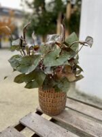 Zdjęcie doniczki lub oslonki: Osłonka Belgian waffle 14 × 17 cm, ujęcie 2