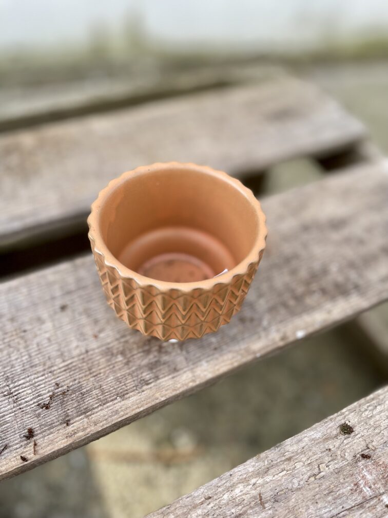 Zdjęcie doniczki lub oslonki: Osłonka Caramel 6 × 6 cm, ujęcie 3