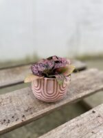 Zdjęcie doniczki lub oslonki: Osłonka Jellyfish 6 × 6 cm, ujęcie 2