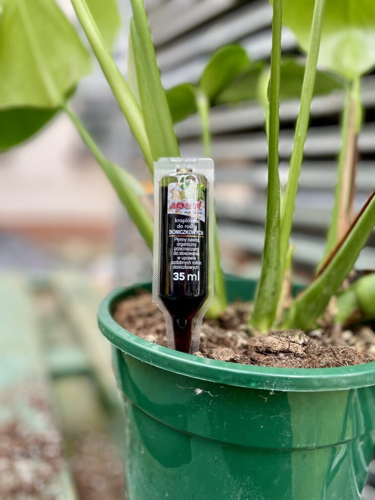 Zdjęcie akcesoria Kroplówka do roślin doniczkowych 35ml, ujęcie 1