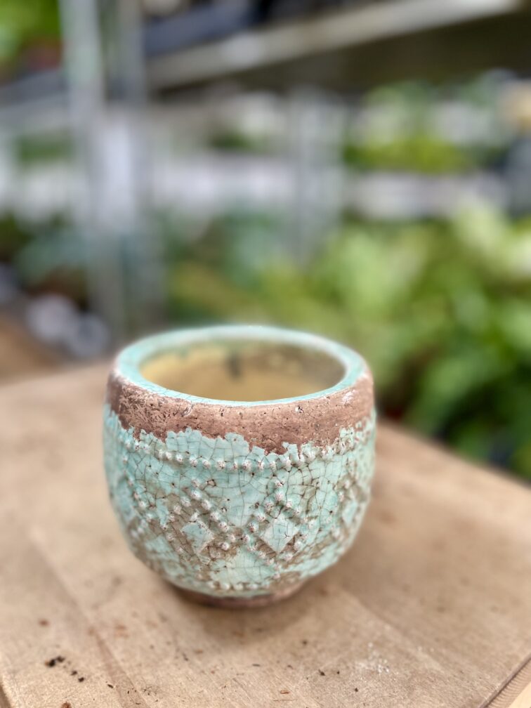 Zdjęcie doniczki lub oslonki: Osłonka Lima 8 × 0 cm, ujęcie 1