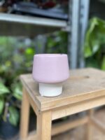 Zdjęcie doniczki lub oslonki: Osłonka Mastermind Pink, ujęcie 1