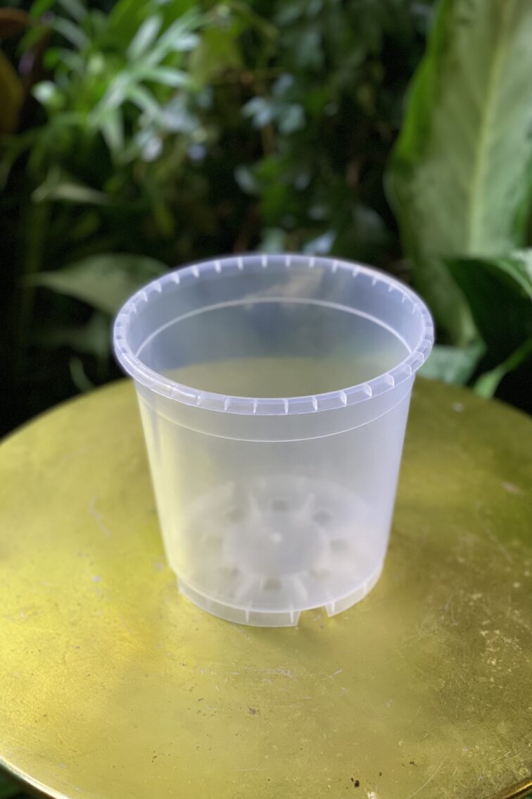 Zdjęcie doniczki lub oslonki: Doniczka plastikowa przezroczysta 14cm, ujęcie 1