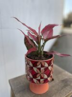 Zdjęcie doniczki lub oslonki: Osłonka Lampa 12 × 17 cm, ujęcie 2