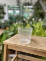 Zdjęcie doniczki lub oslonki: Doniczka plastikowa przezroczysta 12cm, ujęcie 1