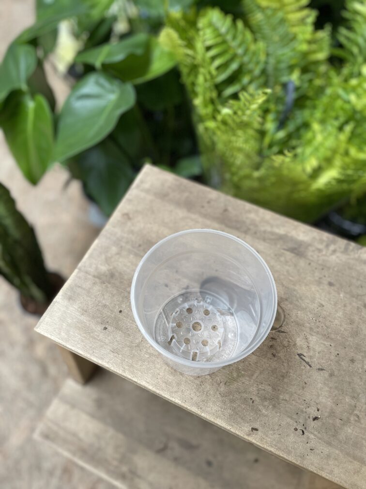 Zdjęcie doniczki lub oslonki: Doniczka plastikowa przezroczysta 12cm, ujęcie 2