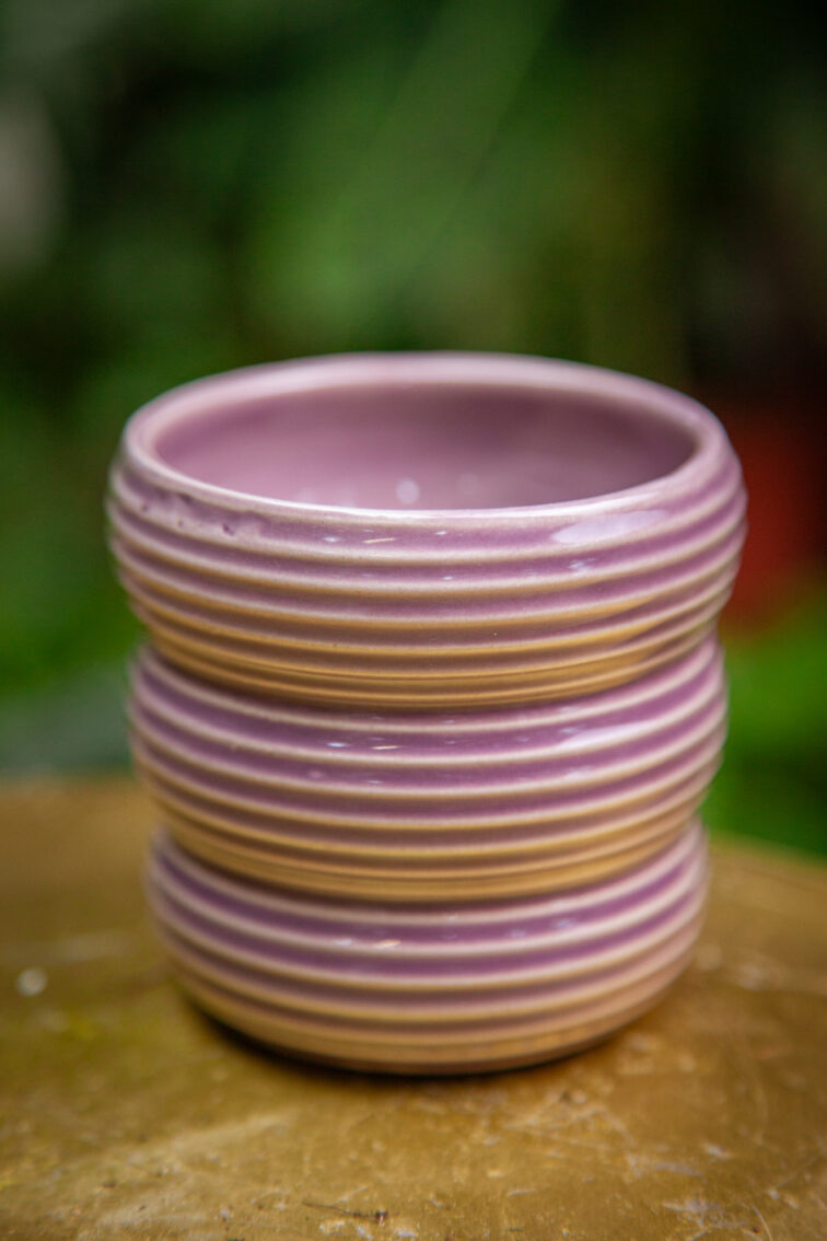 Zdjęcie doniczki lub oslonki: Matcha Blueberry 7 × 8 cm, ujęcie 1